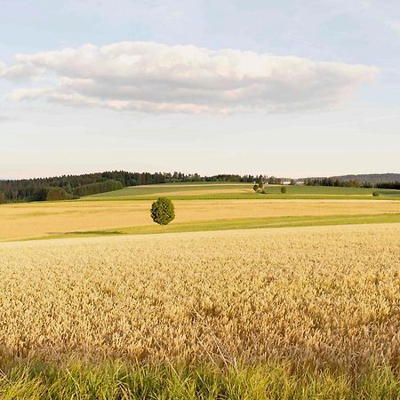 Bantlehof Leilighet Niedereschach Eksteriør bilde