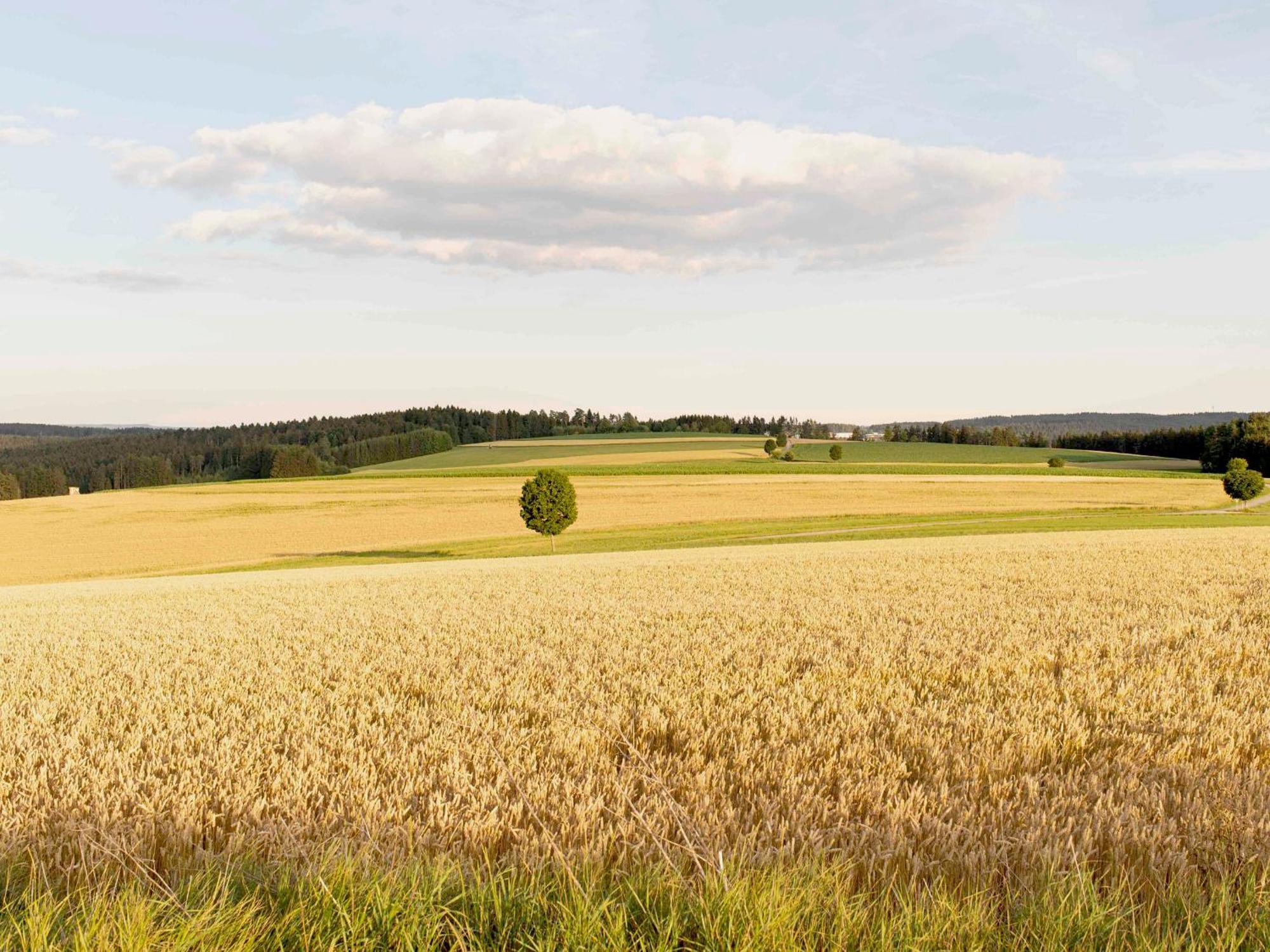 Bantlehof Leilighet Niedereschach Eksteriør bilde